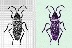 Grunge Printing Effect