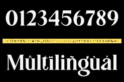 Gundogan | Serif Font