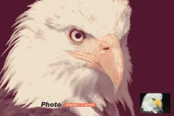 Halftone FX - PSD Press Effects