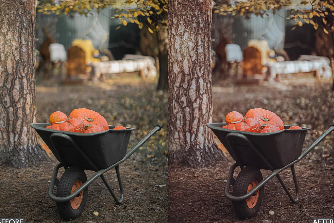 Halloween Fall Lightroom Presets