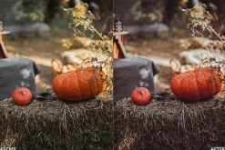 Halloween Fall Lightroom Presets