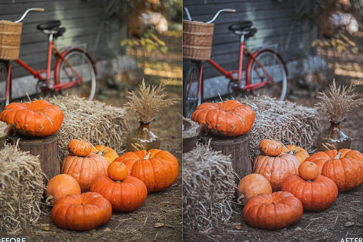 Halloween Fall Lightroom Presets