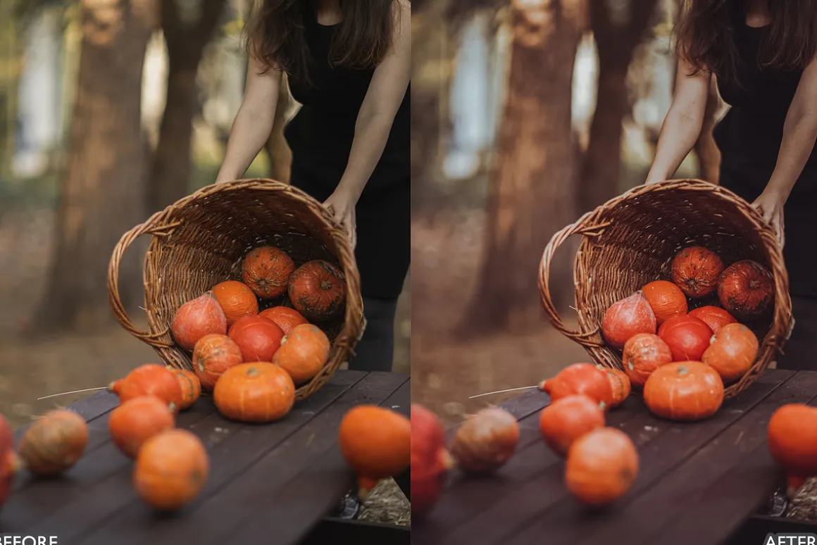 Halloween Fall Lightroom Presets