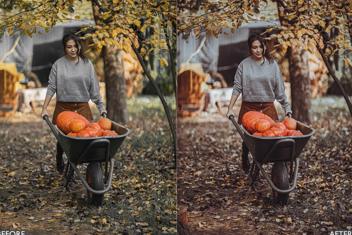 Halloween Fall Lightroom Presets