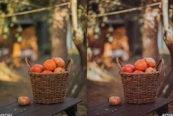 Halloween Fall Lightroom Presets