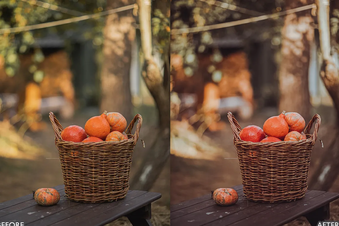Halloween Fall Lightroom Presets