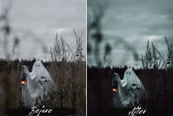 10 Halloween Lightroom Presets