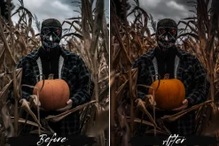 10 Halloween Lightroom Presets