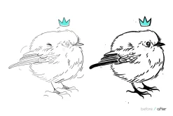 Hand Drawn Ink Brushes