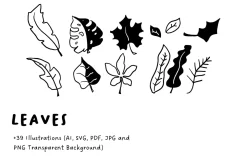 39+ Hand-Drawn Leaves Illustrations