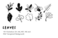 39+ Hand-Drawn Leaves Illustrations