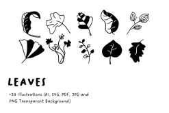 39+ Hand-Drawn Leaves Illustrations
