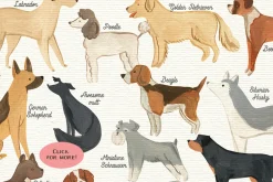 47 Hand Painted Dogs