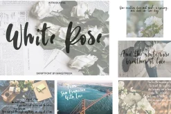 Handwritten FONT BUNDLE-Sale 99% OFF