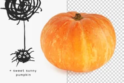 Happy Halloween collection