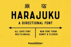 Harajuku - A Directional Font