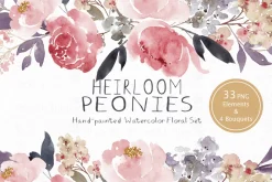Heirloom Peonies - Watercolor Floral