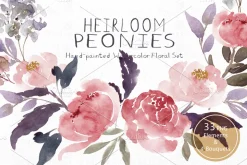 Heirloom Peonies - Watercolor Floral