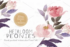 Heirloom Peonies - Watercolor Floral