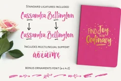 Hello Lucky Font Set