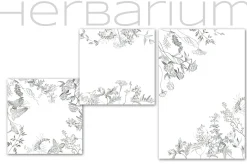 Herbarium. Pencil sketches