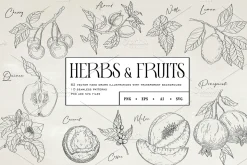 Herbs & Fruits hand drawn collection