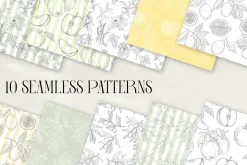 Herbs & Fruits hand drawn collection