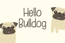 Heylie - Cute Handwritten Font