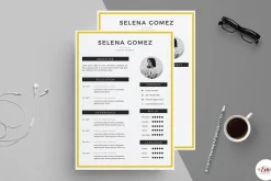 Highlight Resume Template