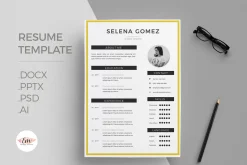 Highlight Resume Template