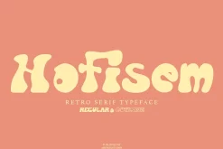 Hofisem - Retro Serif Typeface