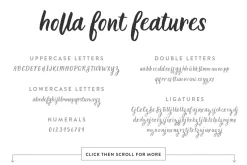 Holla Script Font
