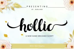 Hollic Brush