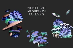 Holo Lilac Mushroomland Collage