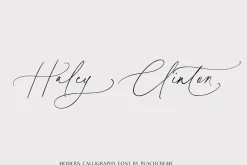Honey Vineyard // Modern Calligraphy