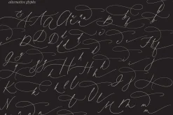 Honey Vineyard // Modern Calligraphy