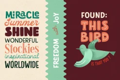 Howli - Playful FontPack