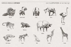 Huge Animal Vector Bundle