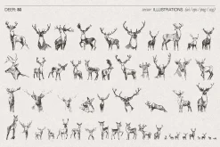 Huge Animal Vector Bundle