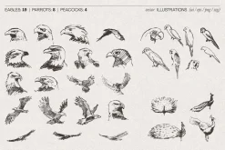 Huge Animal Vector Bundle