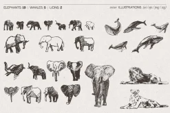 Huge Animal Vector Bundle