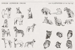 Huge Animal Vector Bundle