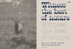 Hunting Ground | Western Slab Serif