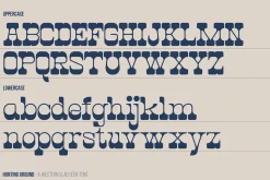 Hunting Ground | Western Slab Serif