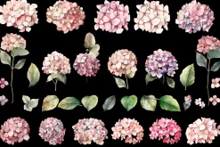 Hydrangea clipart, Watercolor floral