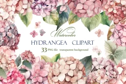 Hydrangea clipart, Watercolor floral