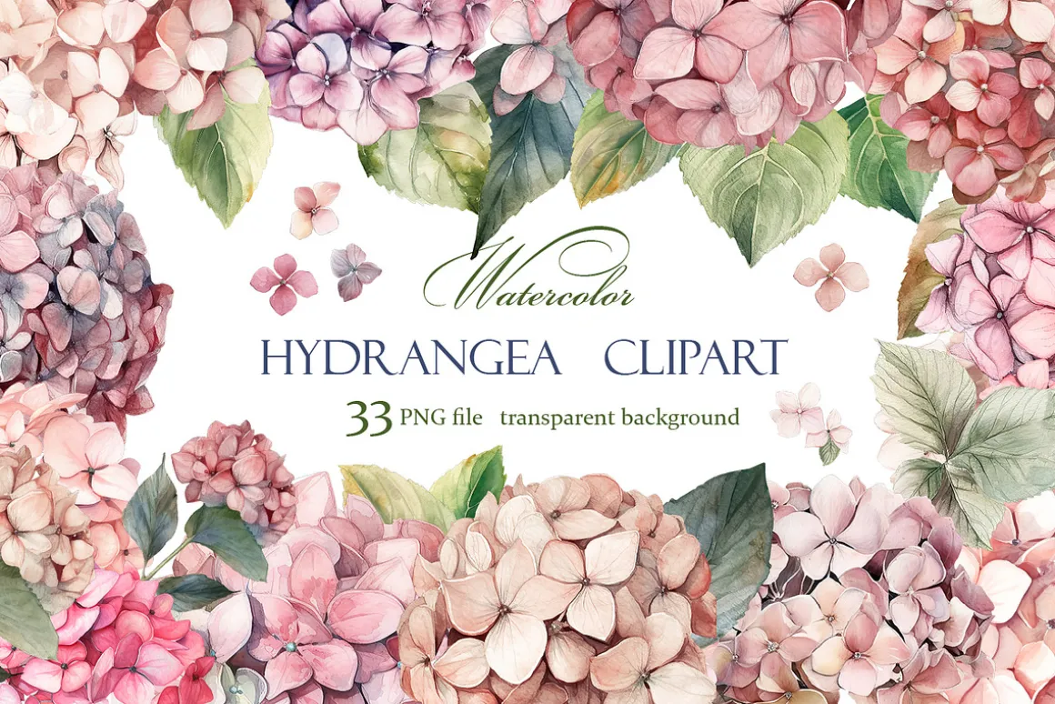 Hydrangea clipart, Watercolor floral