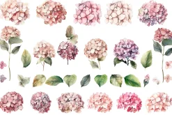 Hydrangea clipart, Watercolor floral