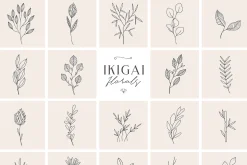 Ikigai Collection
