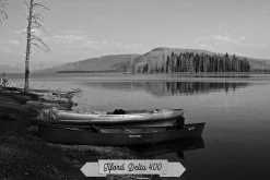 Ilford and Kentmere Films profiles